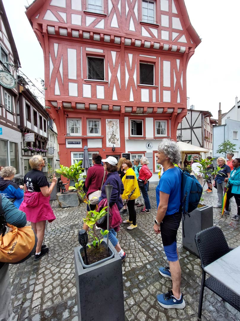 Foto-Frauenrudertag-Boppard